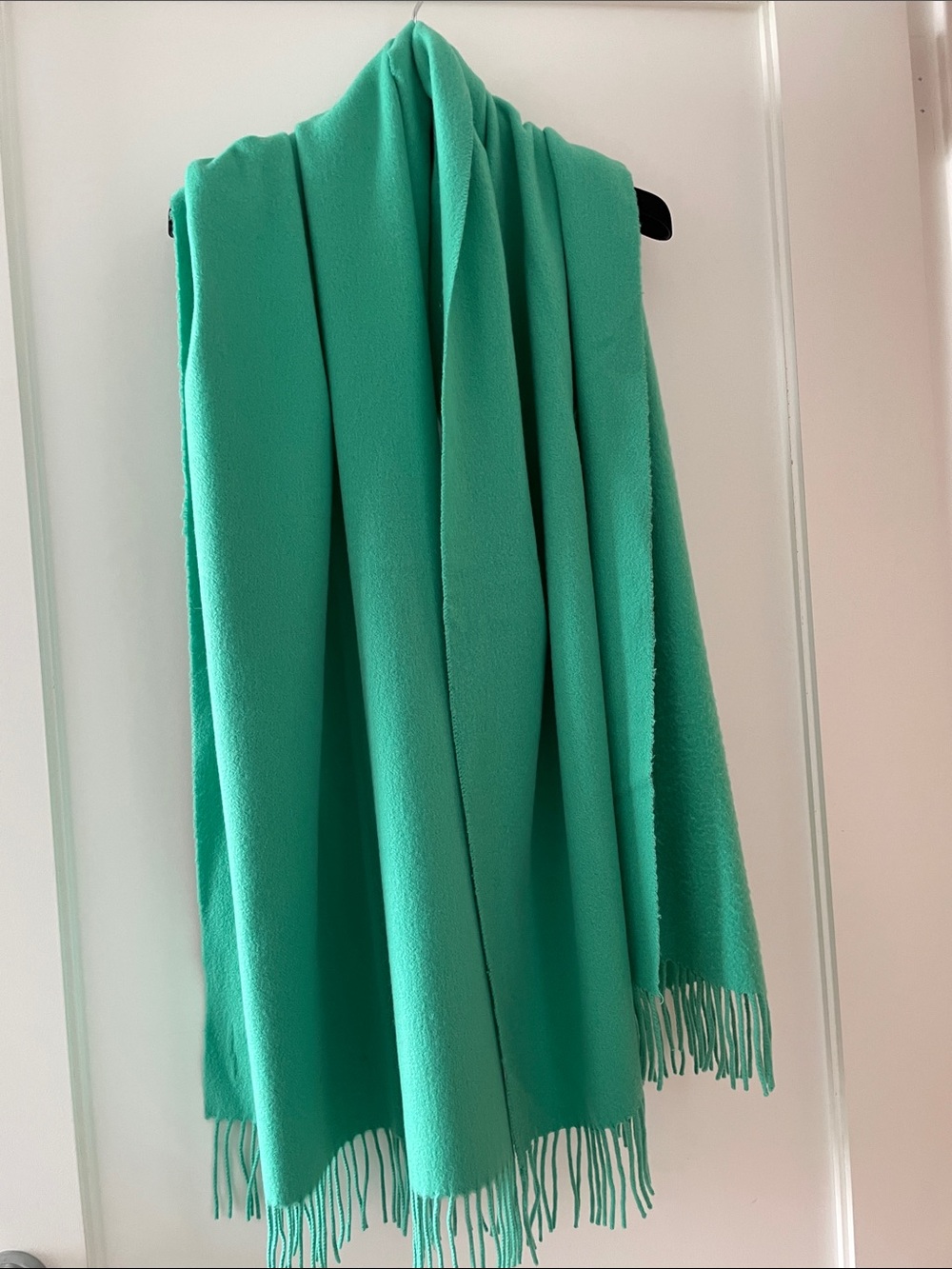 Women's Cashmere Teal Fringe Pashmina Shawl Wrap